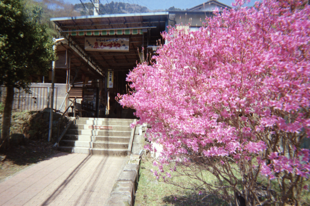 大山阿夫利神社へ①・3-3