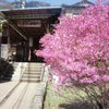 大山阿夫利神社へ①・3-3