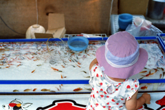 金魚の気持ち①