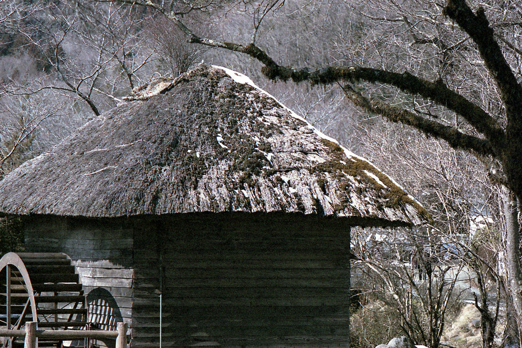 水車小屋(過去写真)