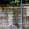 紫陽花と坂道(過去写真)1