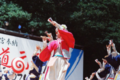 スーパーよさこい(過去写真)