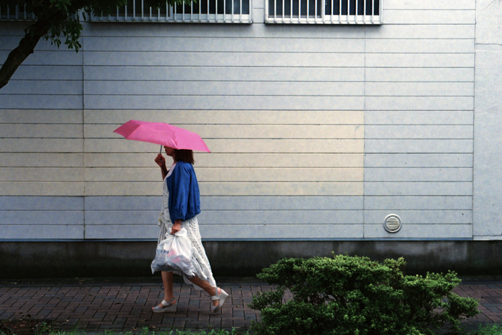 日常①・急な雨
