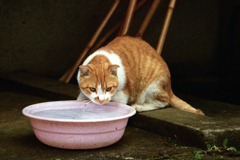 無題(過去写真)