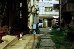 過去写真２１・アンニュイな構図２