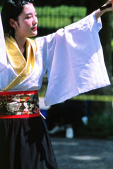 原宿表参道元氣祭スーパーよさこい2024