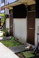 過去写真１９・セキュリティ