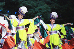 原宿表参道元氣祭スーパーよさこい2024