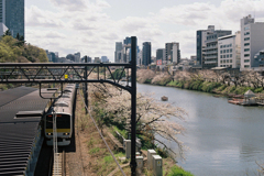 桜並木に良く似合う電車２