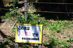 働く鳥さん