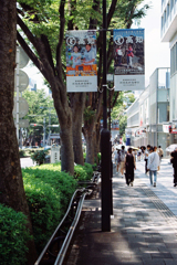 ど高知