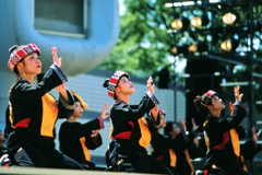 原宿表参道元氣祭スーパーよさこい2024