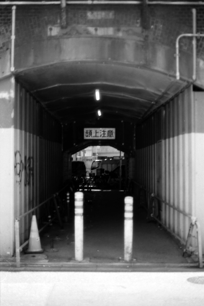 代替え写真④・3-1