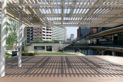 スーパーよさこい新会場