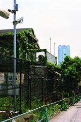 風景２(過去写真)