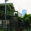 風景２(過去写真)