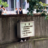 東京駅駅前に猫のいた頃１(過去写真)