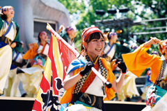原宿表参道元氣祭スーパーよさこい2024