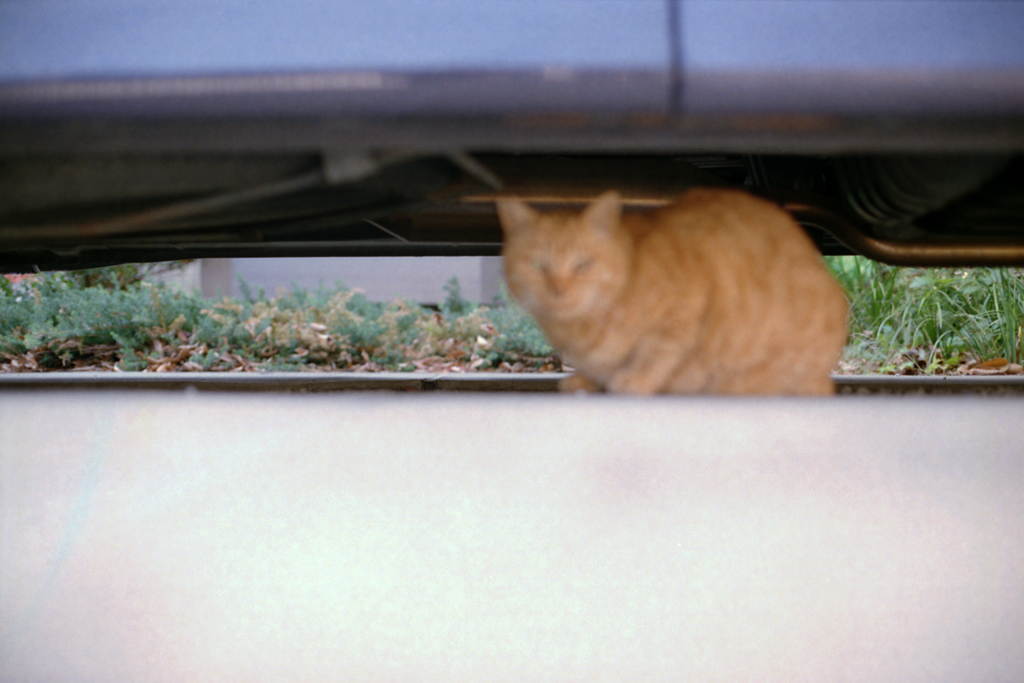 24exp.film・24-16