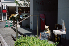 ねこの置物(先日)