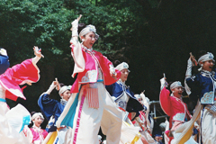 原宿表参道元氣祭スーパーよさこい2024