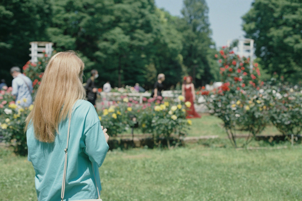 秘密の花園・公開2