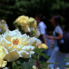 やりすぎ？写真①・2-1