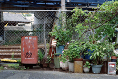 子安駅付近の風景