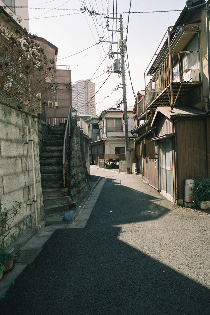 約23年の年の差