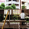 正しい都電の待ち方(過去写真)