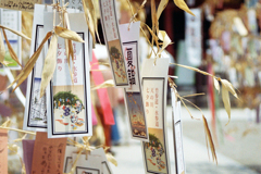浅草寺ほおずき市②・3-3