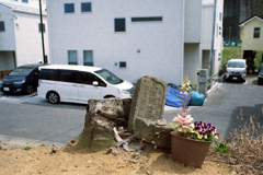 馬頭観世音