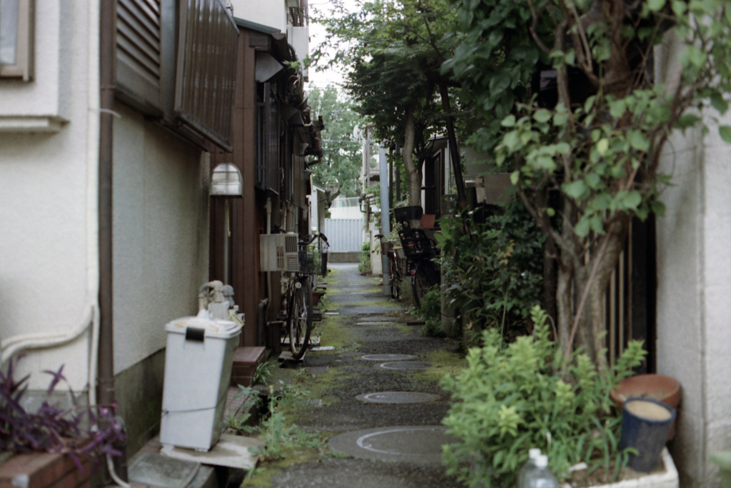 世田谷区豪徳寺に残る昭和・3-2