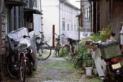 わずかな所に昭和の路地が