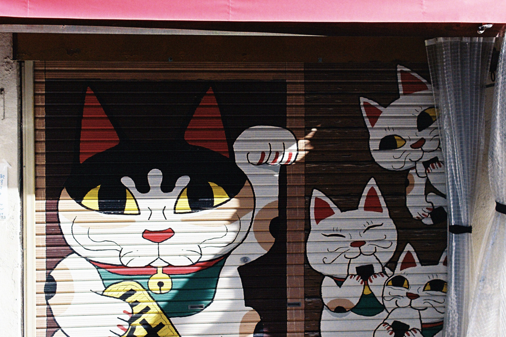 三升矢ねこ