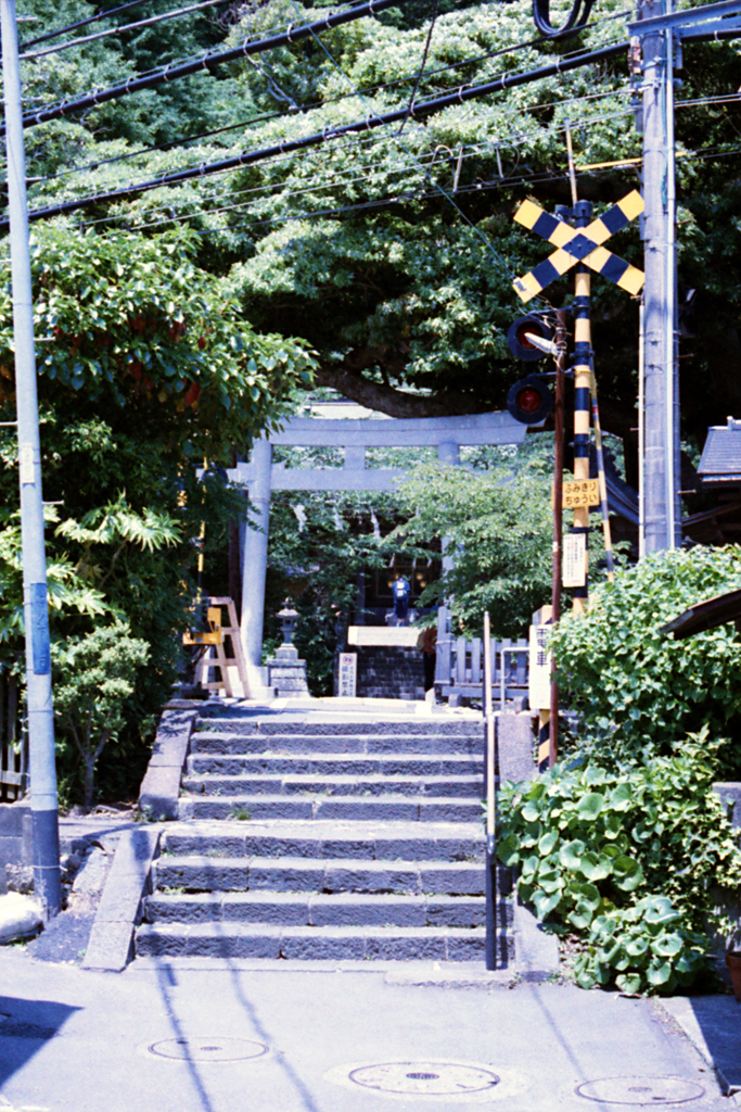 鎌倉御霊神社