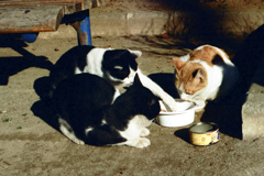 過去写真１５・手が長いね