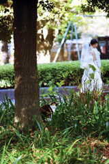 日比谷公園に猫のいた頃(過去写真)