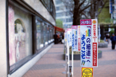 芭蕉も歩いた銀座の古道？(過去写真)
