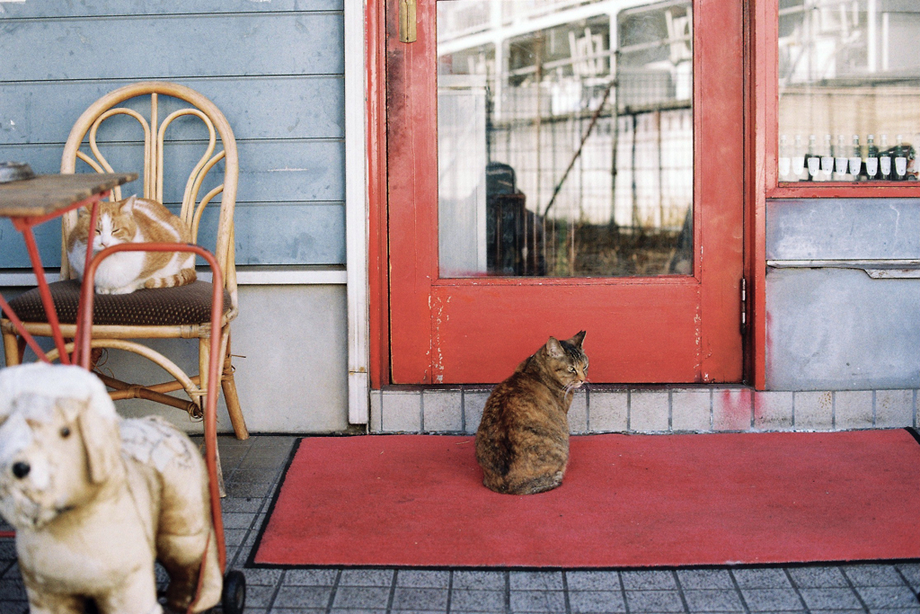 猫60・3-2「住人」