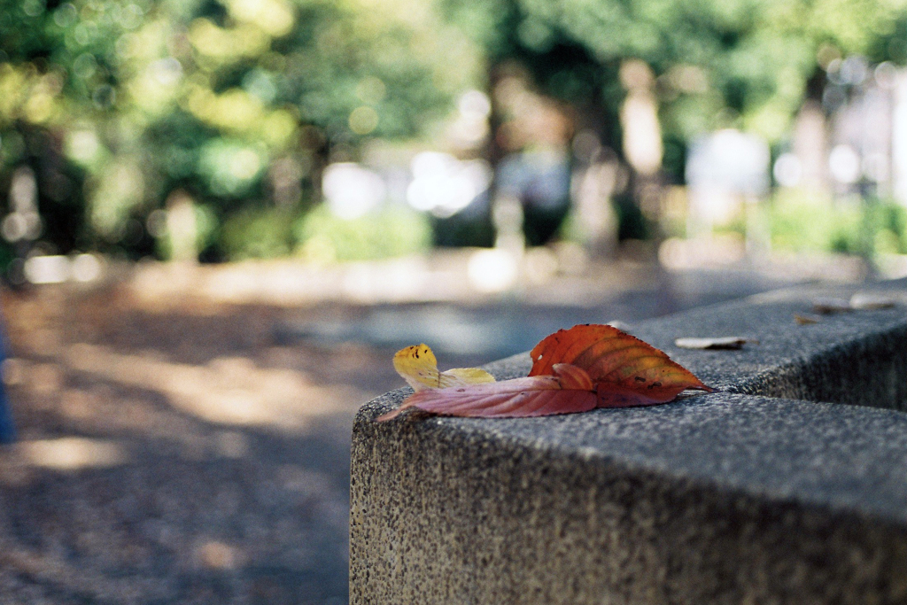 テスト撮影③・2-1