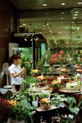 プランタンの花屋さん(過去写真)