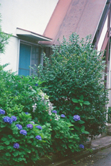 近所で普通に4