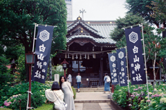 本殿