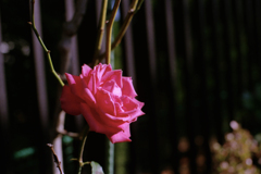 24exp.film・24-8