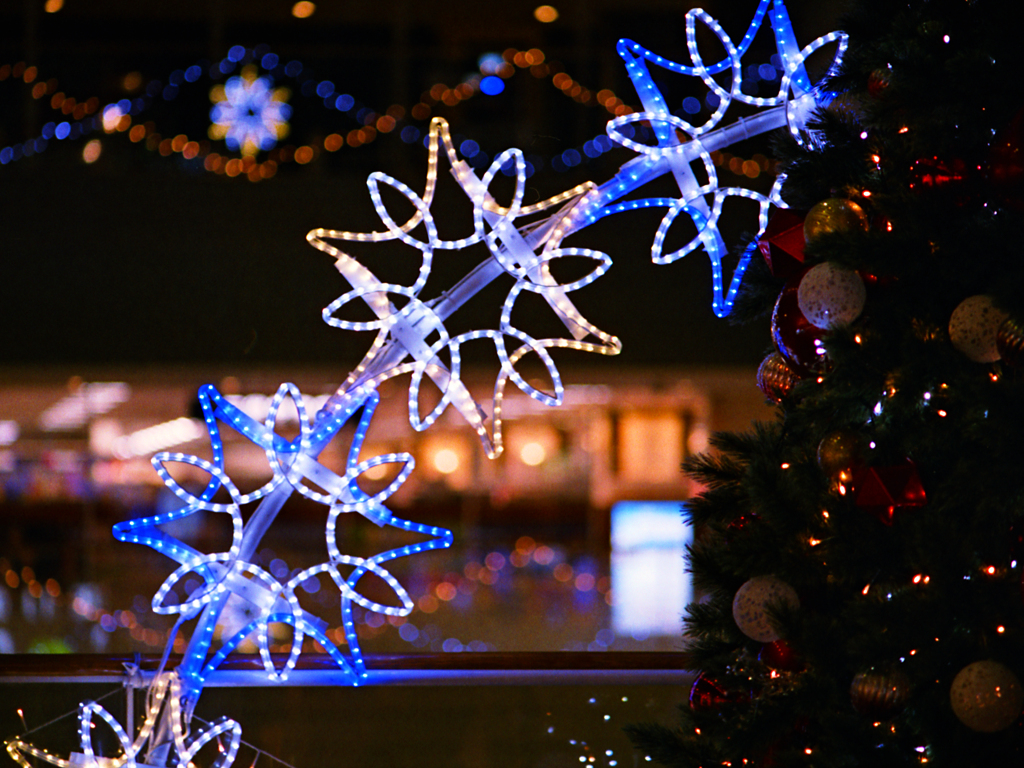 12-4・Holy night