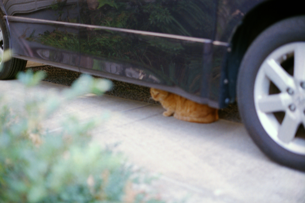 24exp.film・24-14