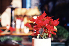 なんとなくクリスマス・3-3