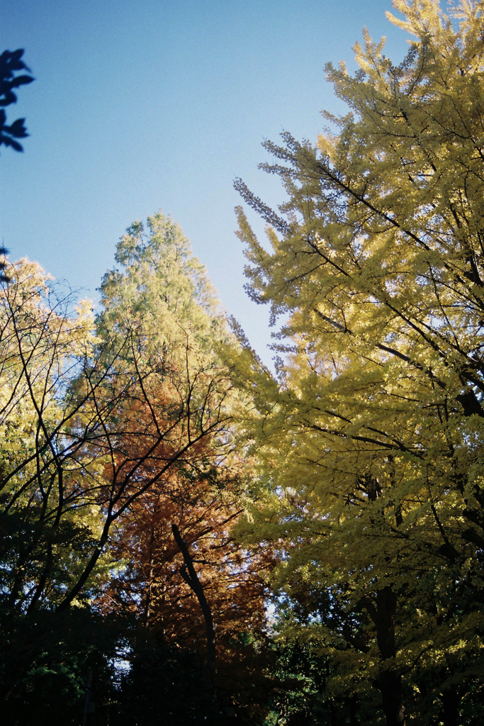 実践テスト①・2-1