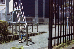 定期観察・三輪車(2)